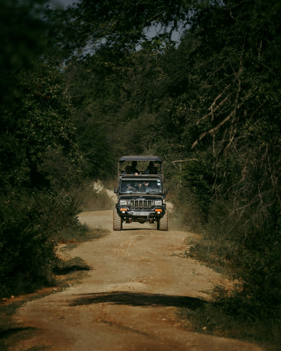 a jeep driving down a dirt road in the woods