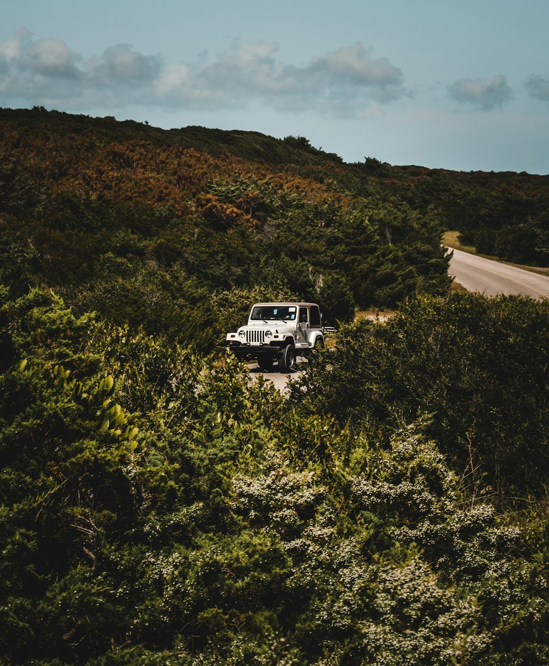 a truck driving through a forest