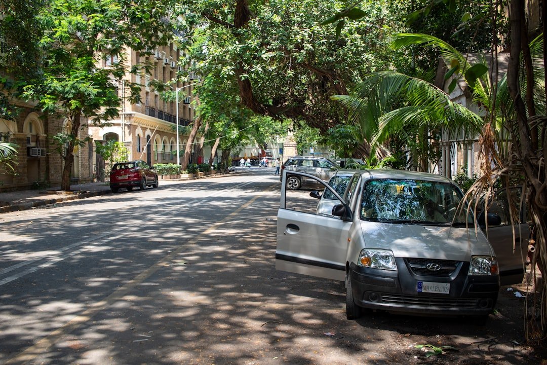 A shaded street with parked cars is shown.