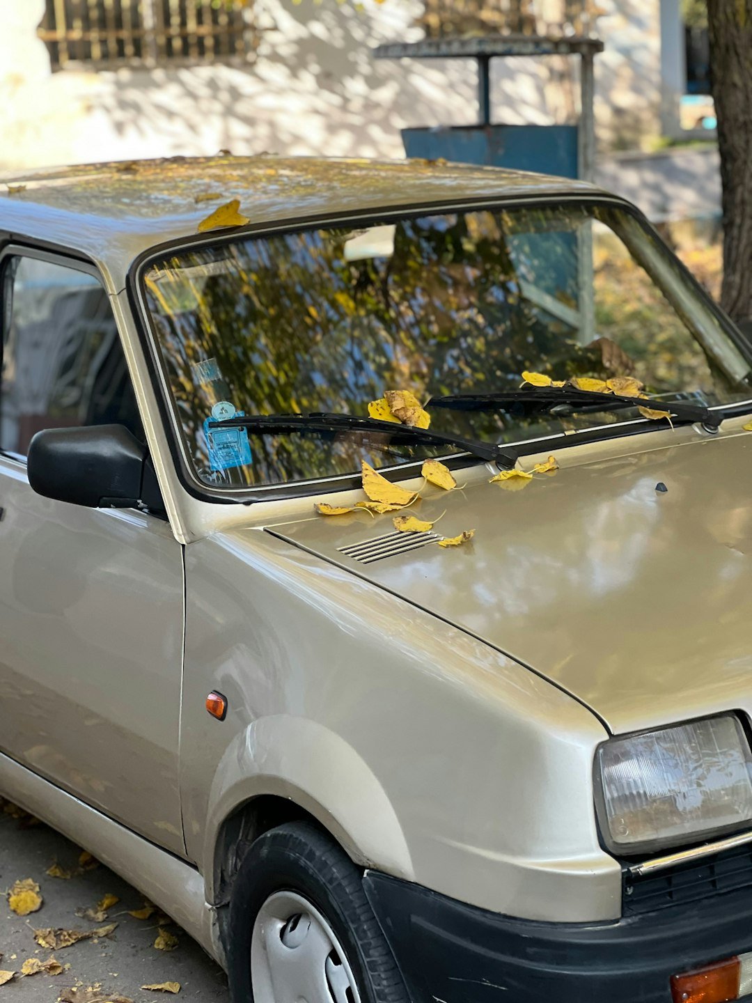 A vintage car with autumn leaves on its windshield.