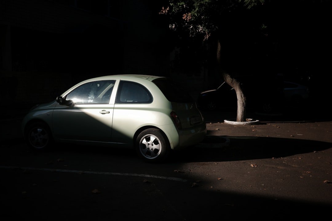 A car sits in the shade of a tree.