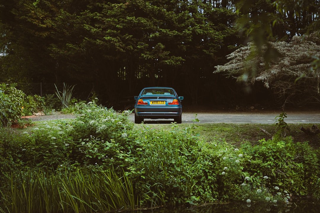 A car sits parked near lush greenery.