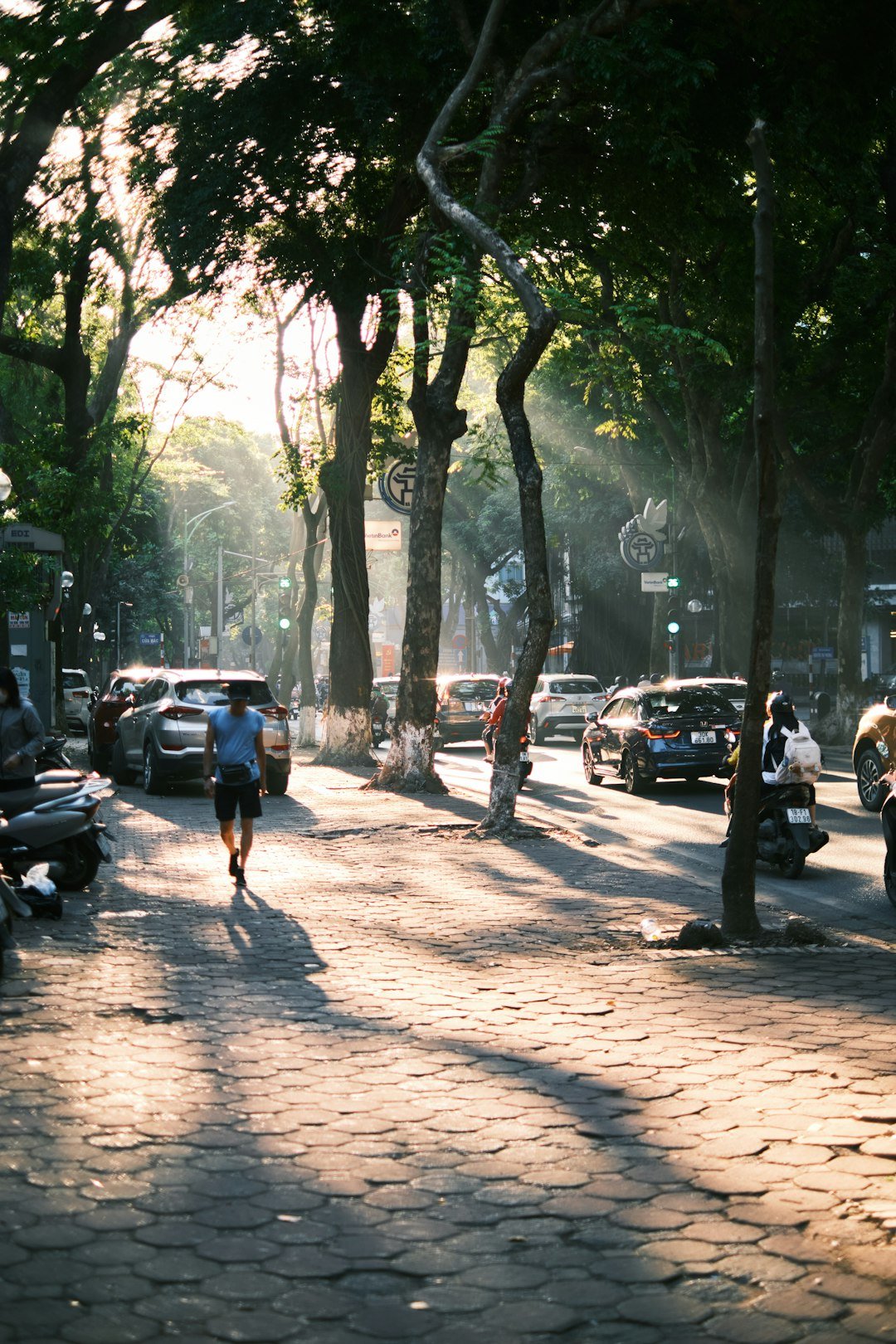 Man walking on sun-dappled street with cars and trees