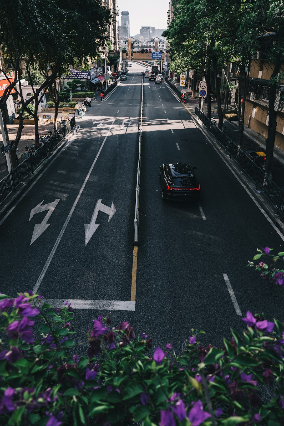 A car drives down a city street with trees.