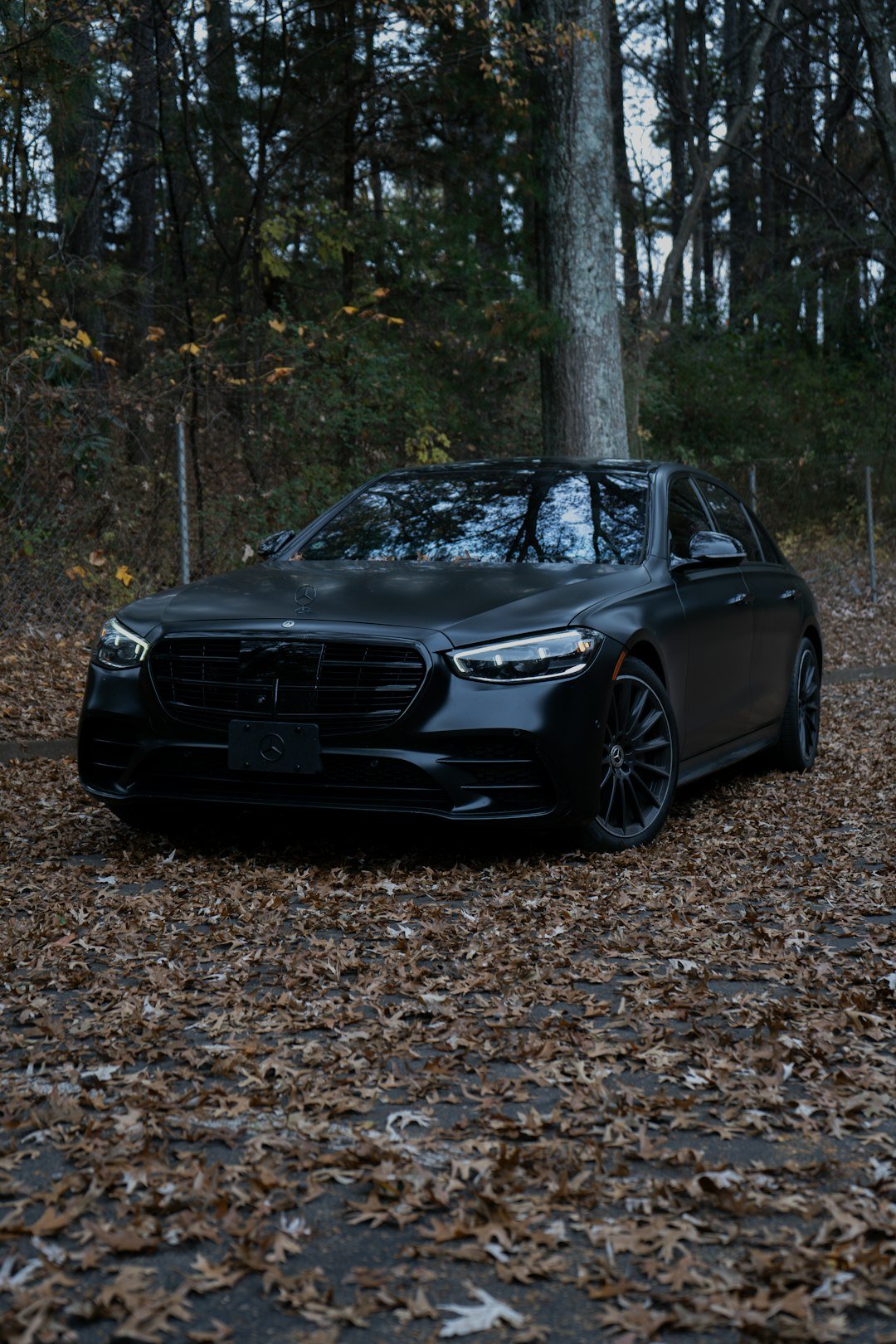 A black luxury car parked on a leaf-covered forest road