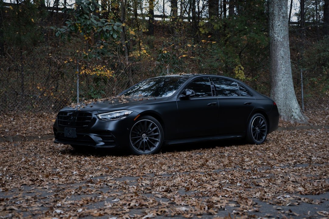 Black luxury sedan parked on fallen autumn leaves.