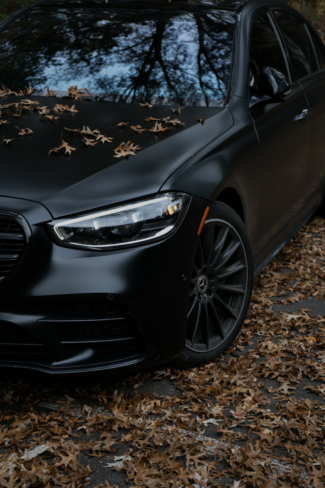 Black luxury car covered in fallen autumn leaves