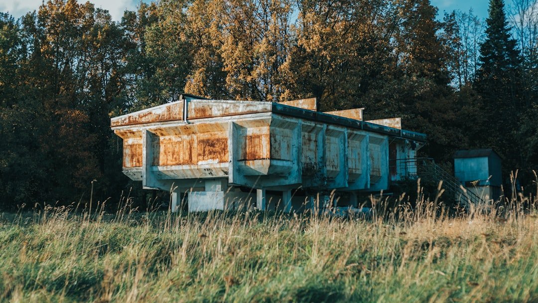 blue and brown wooden houses on green grass field during daytime