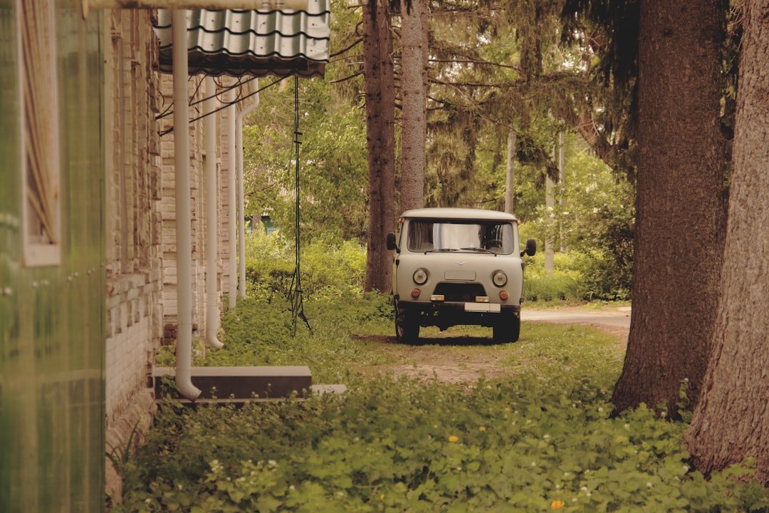 an old truck is parked in the middle of the woods