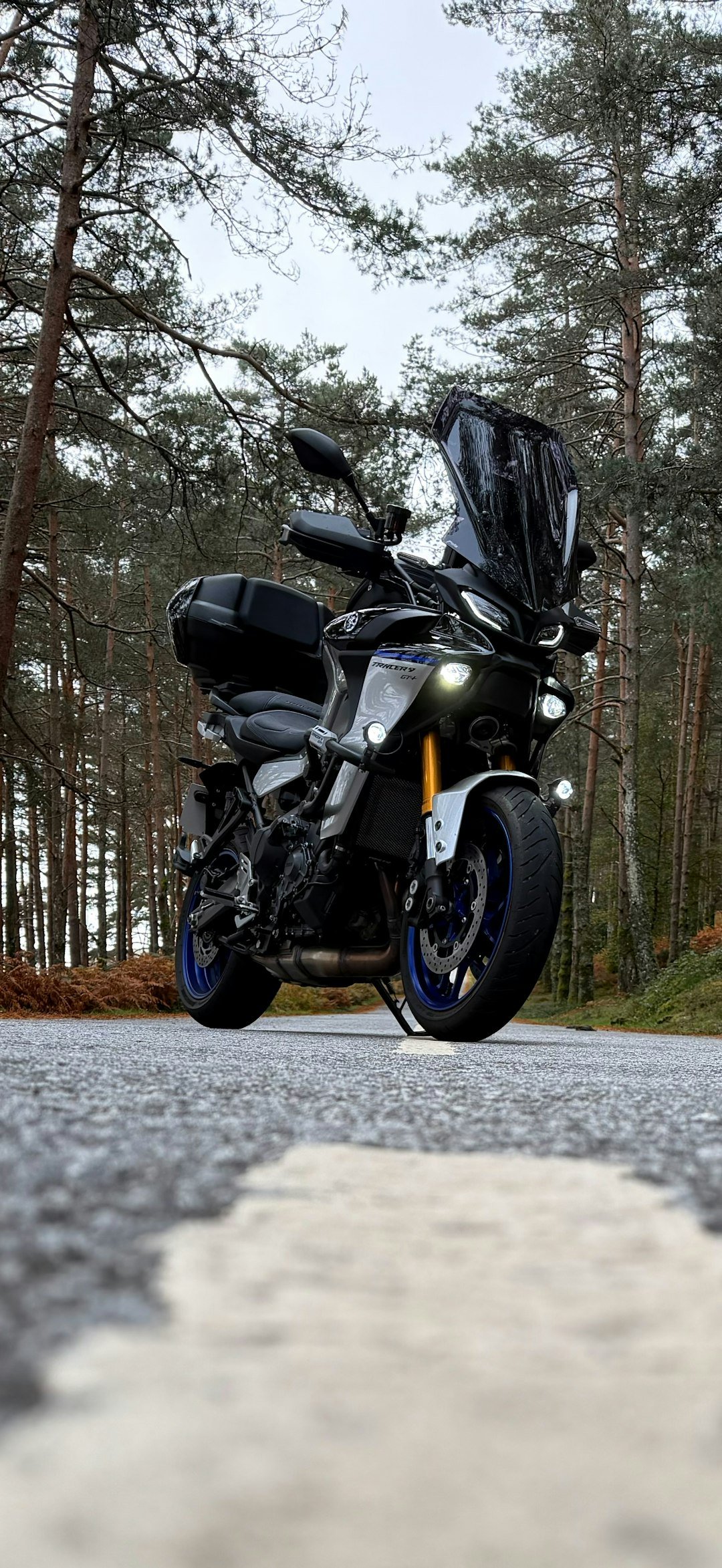 A black motorcycle parked on a forest road.