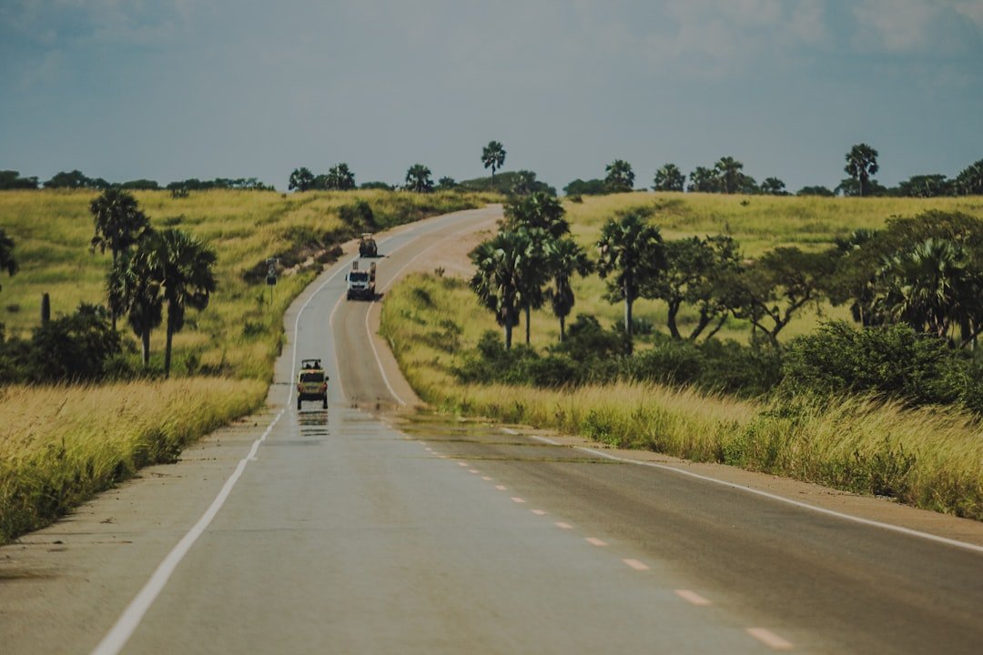 Cars driving on a winding road through grassy hills.