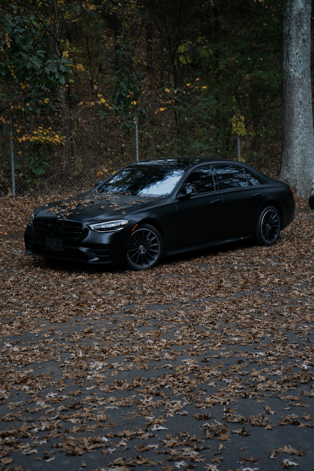 A black luxury sedan parked on a leaf-covered road.