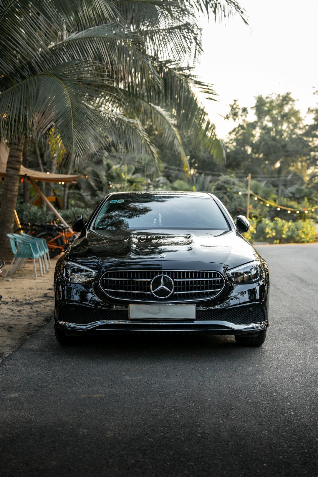 A black mercedes car parked under palm trees.