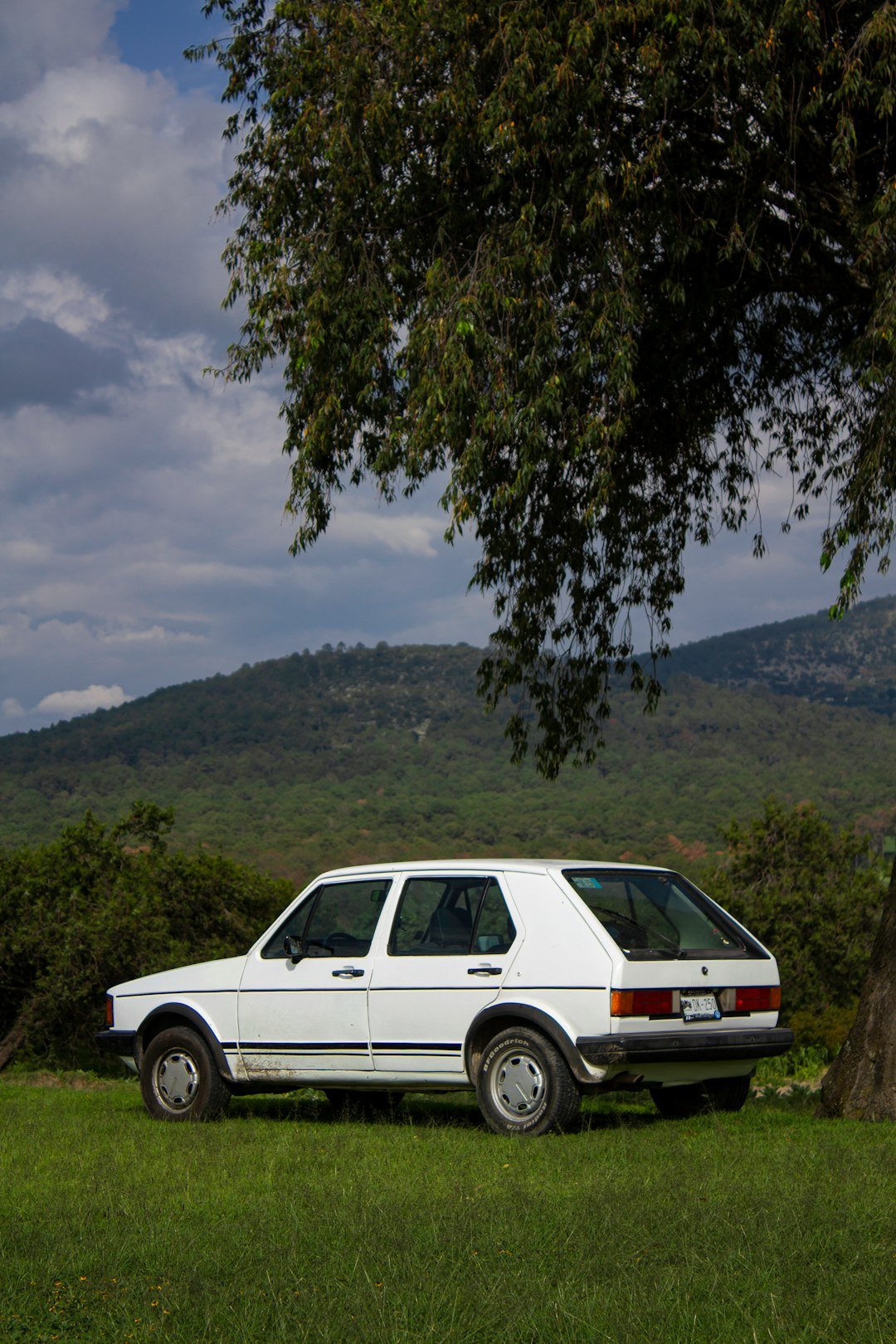 A white car parked under a tree in a field