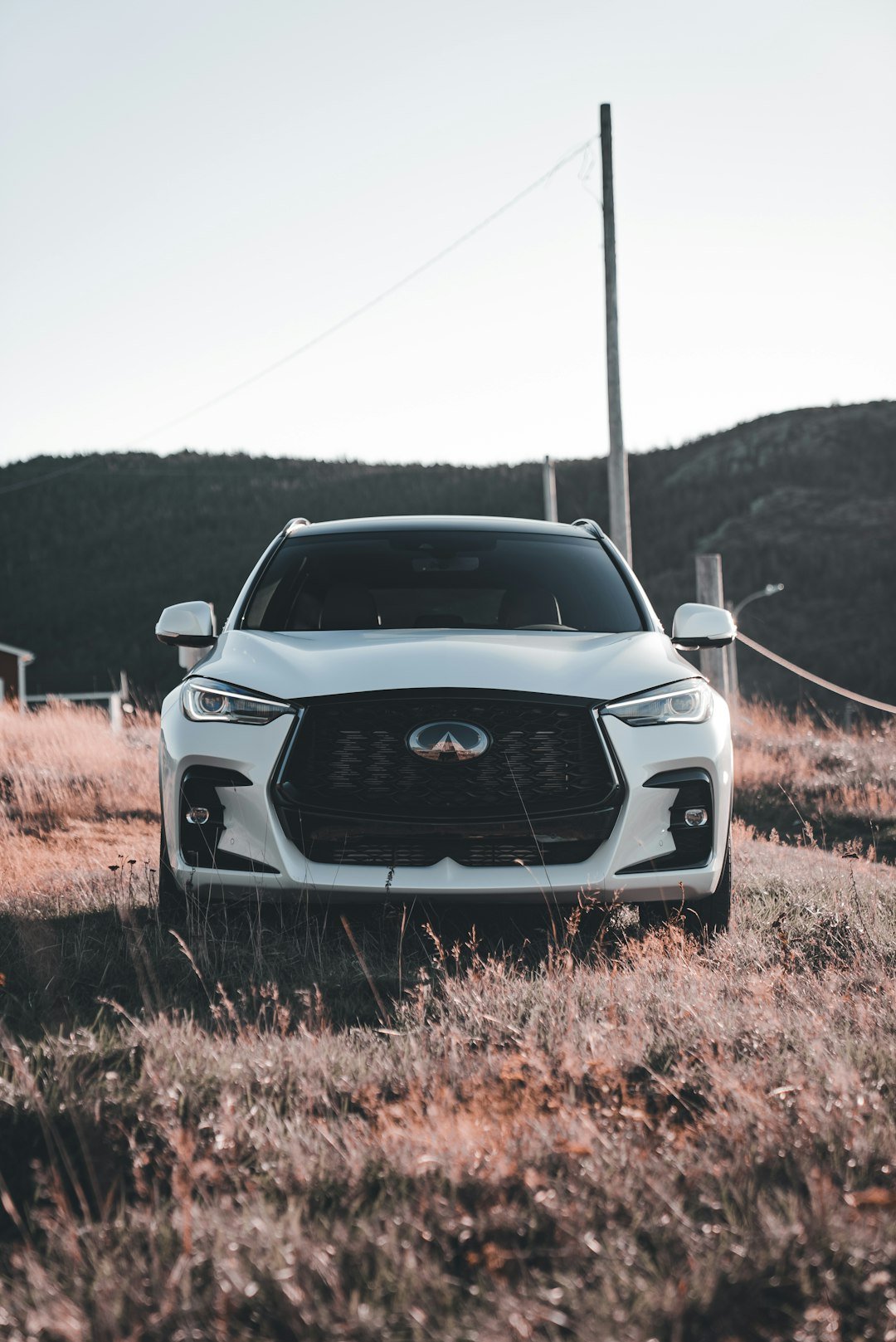 White infiniti suv parked on grassy hill at sunset.