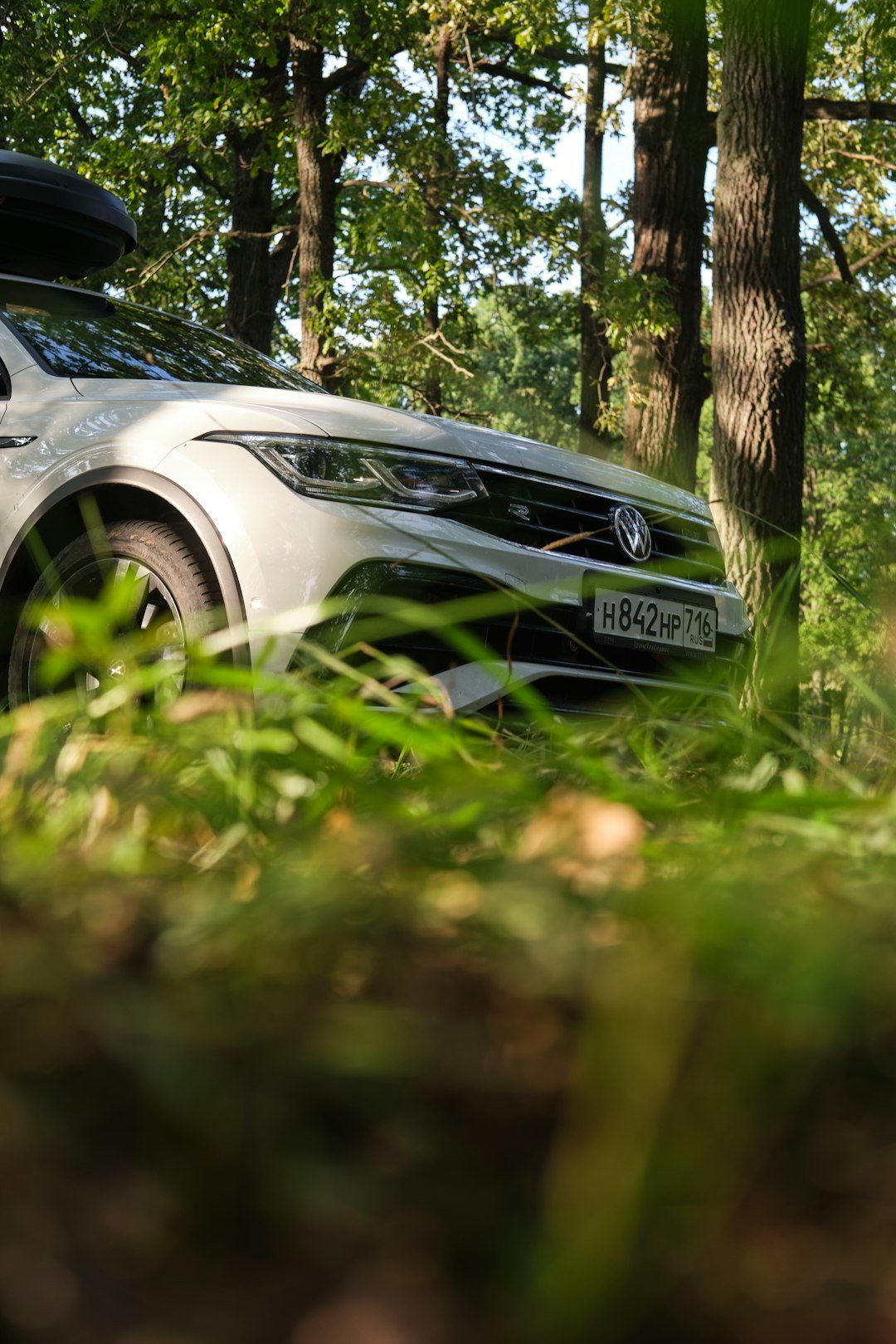 White volkswagen suv parked in a sunlit forest.