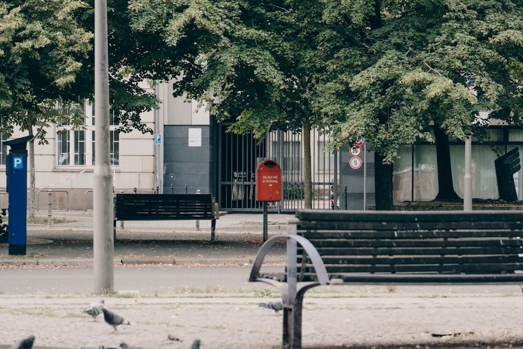 A group of birds sitting on top of a park bench