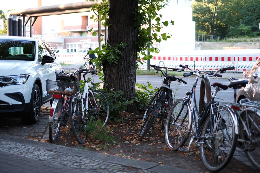 A bunch of bikes parked next to a tree