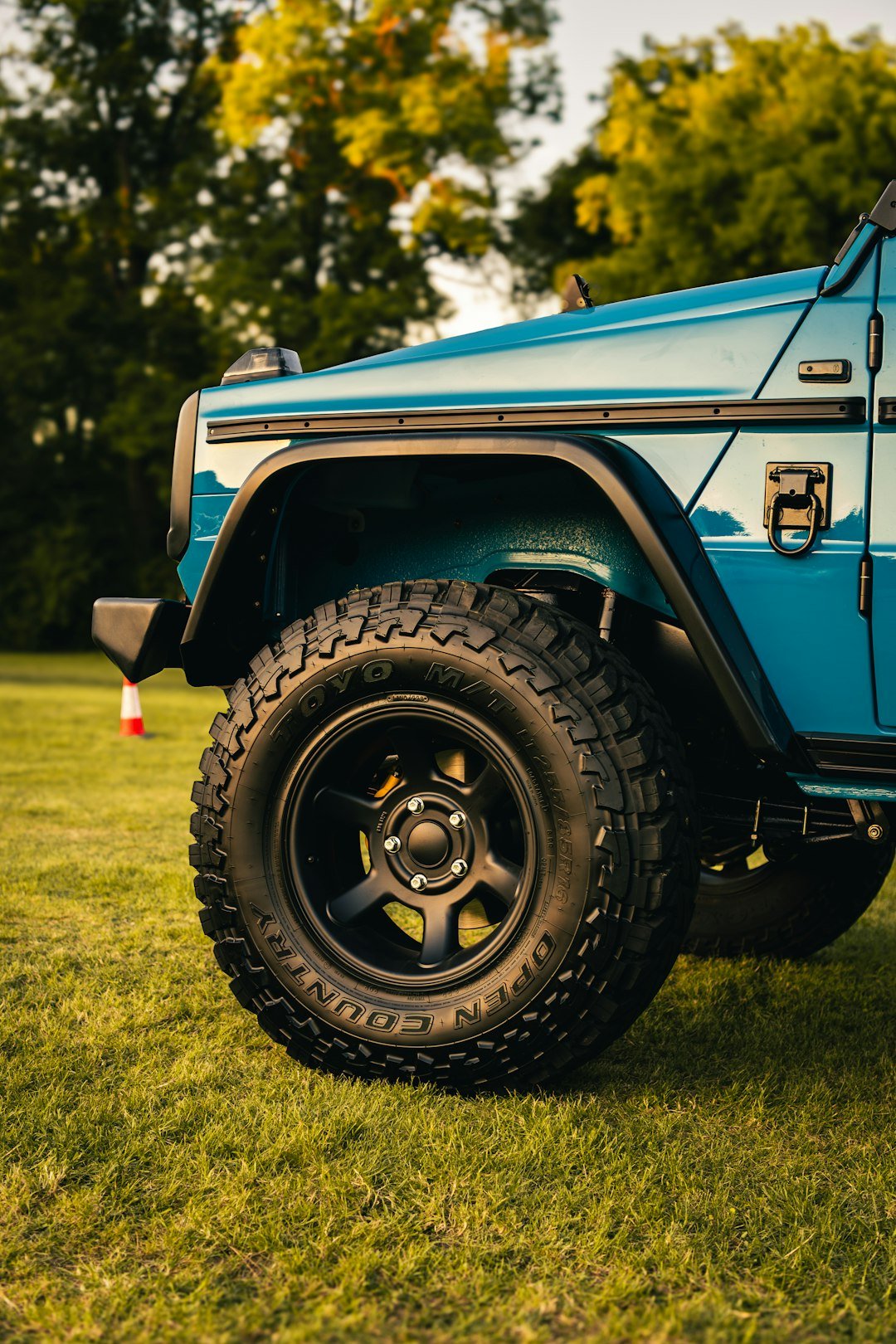 Blue off-road vehicle parked on grassy field.