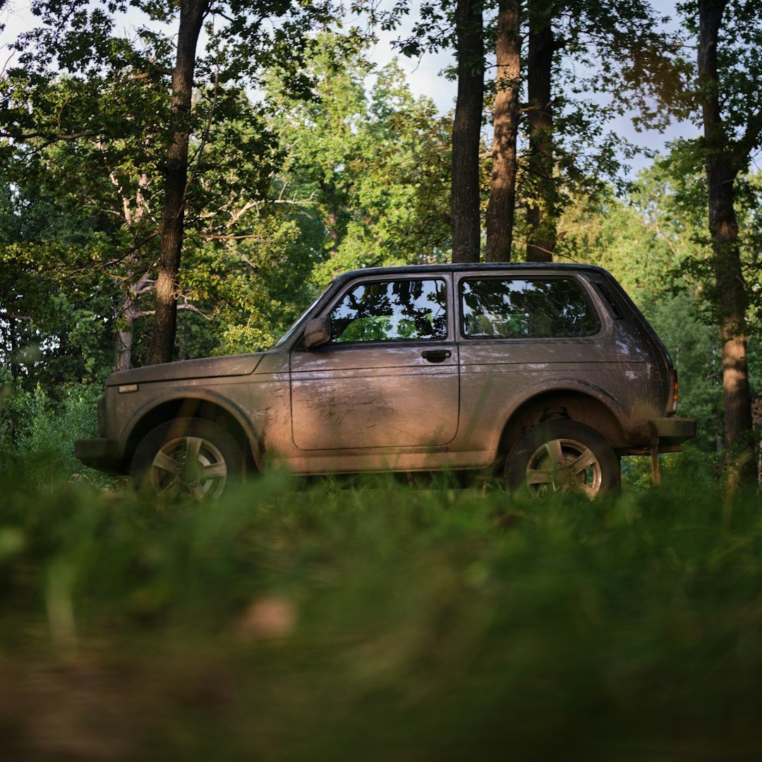 A brown car parked in a forest clearing.