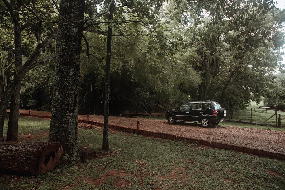 a small black car is parked in a wooded area