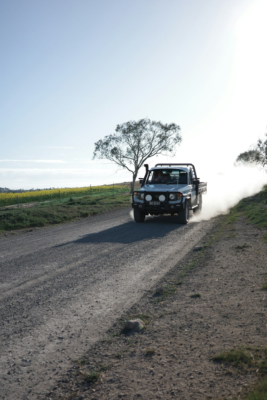 a truck driving down a dirt road next to a tree