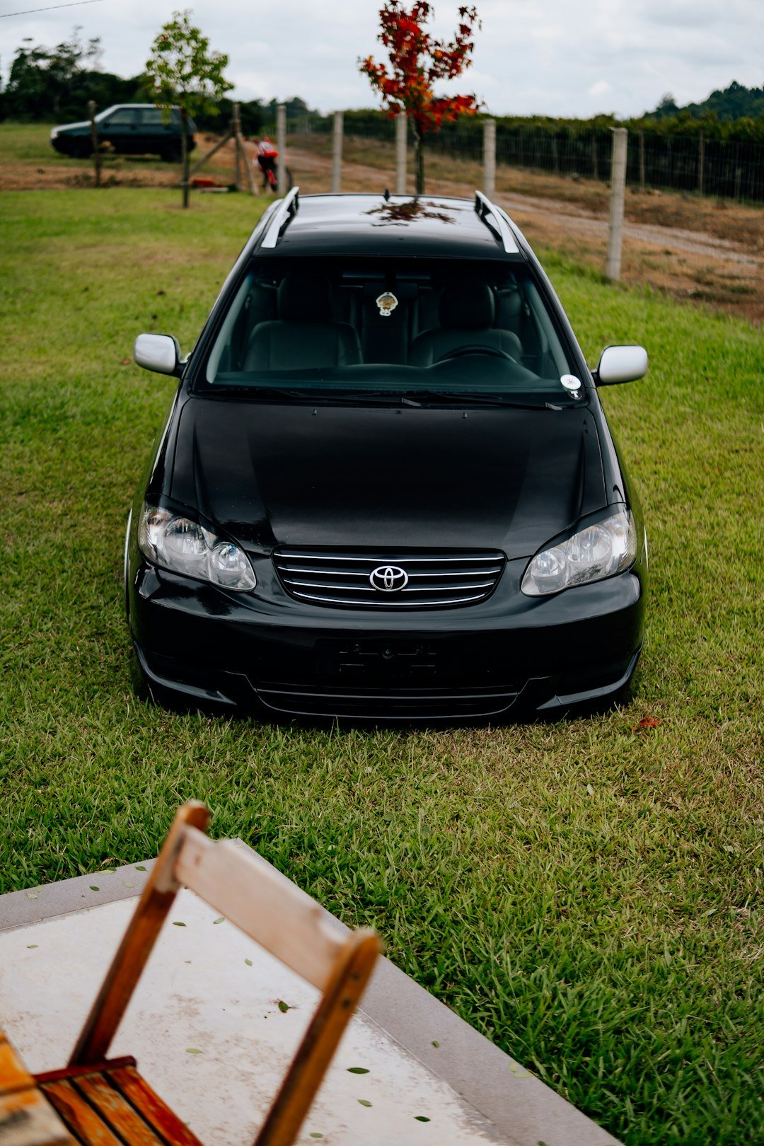 A black car parks on the green grass.
