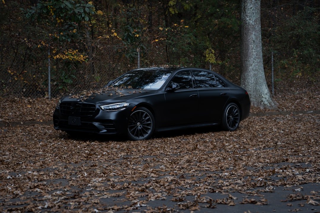 A black luxury sedan parked amongst fallen autumn leaves.