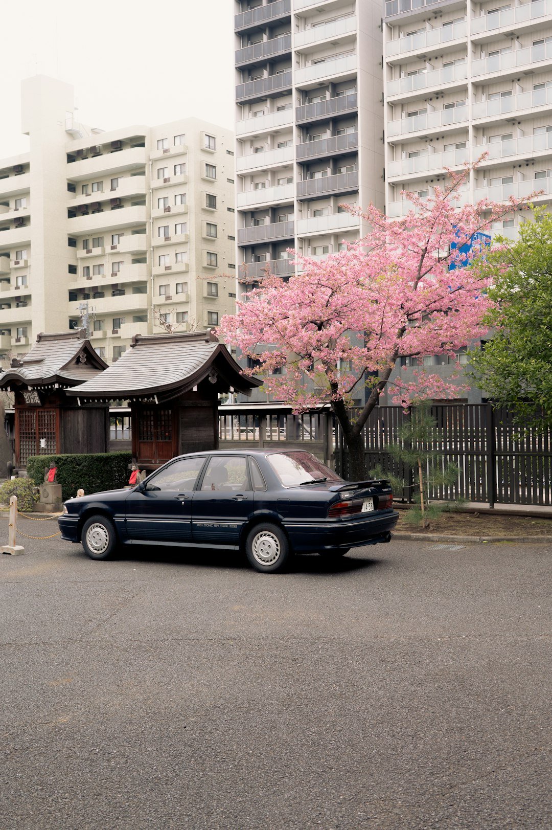 A car, temple, and cherry blossom tree.