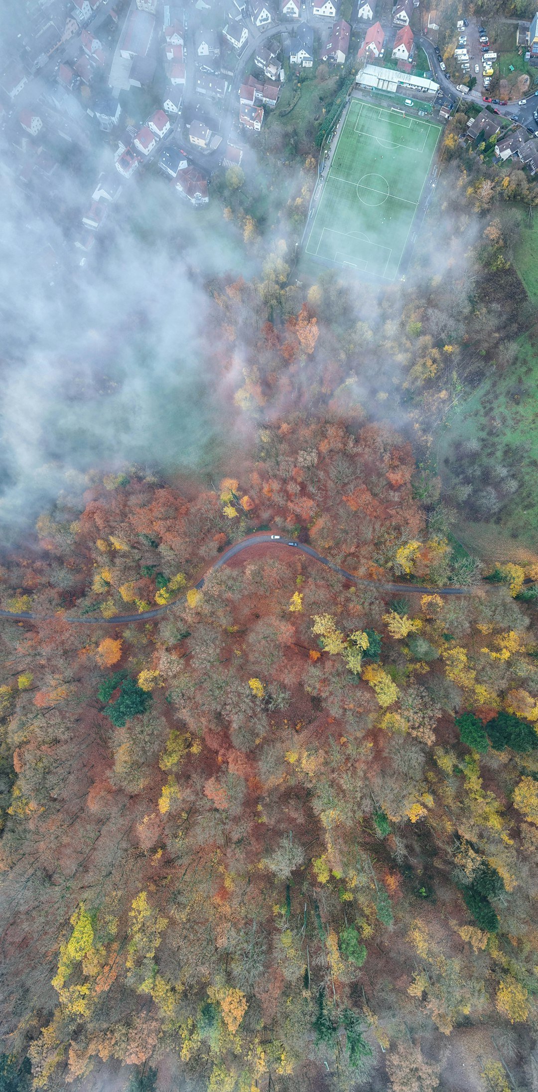 Aerial view of autumn forest, soccer field, and houses.