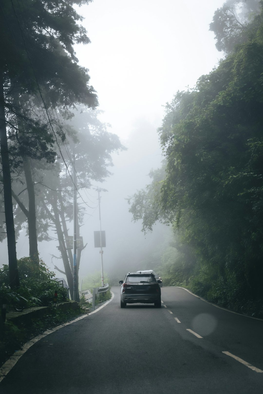 Car driving on a foggy road through a forest