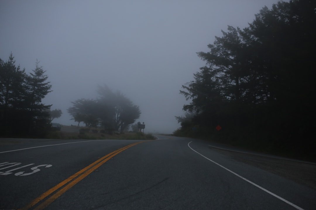 Road curves into fog-filled landscape.