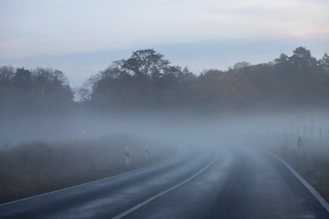 a road with fog on the side