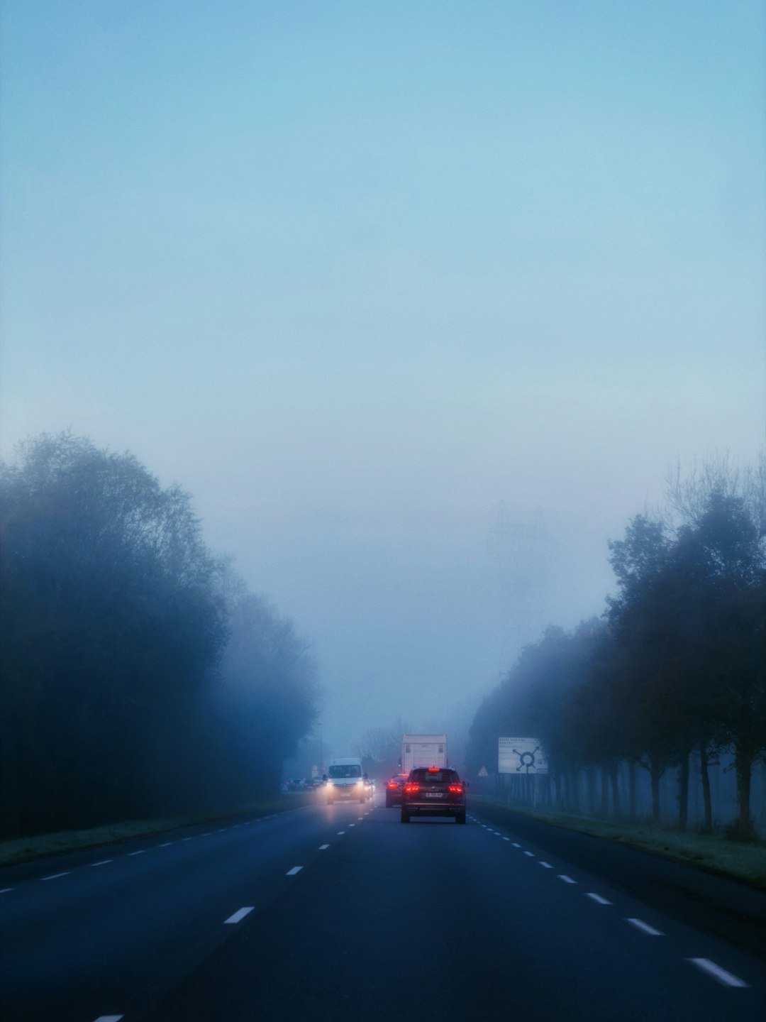 Cars driving on a foggy road at dusk.