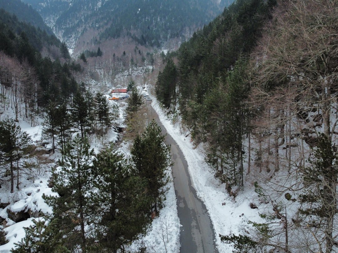 a road in the middle of a snowy forest