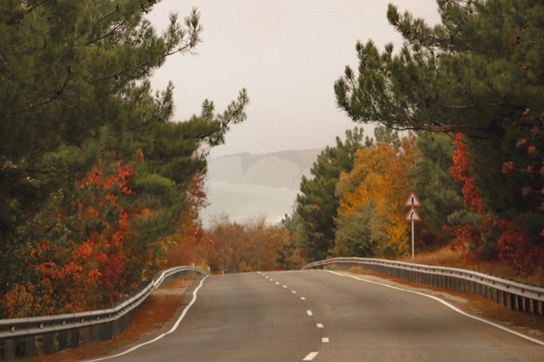 an empty road surrounded by trees in the fall