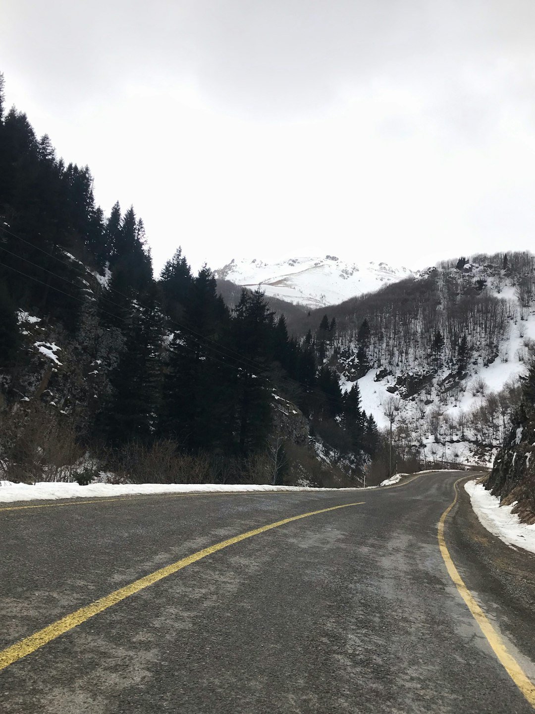 gray concrete road between trees and snow covered mountain during daytime