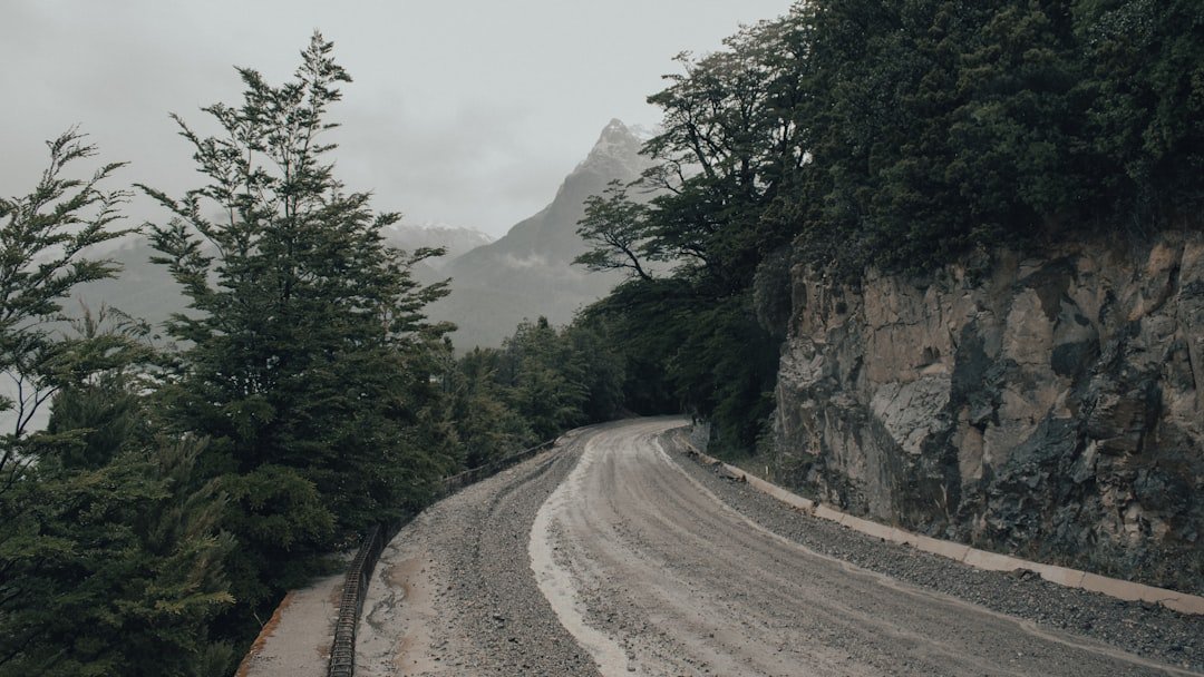 green trees on mountain during daytime